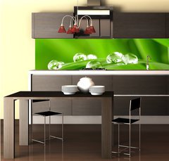 Fototapeta do kuchyn flie 260 x 60, 25545788 - water drops on the green grass