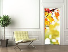 Samolepka na dvee flie 90 x 220  beautiful colorful autumn leaves in the park, 90 x 220 cm