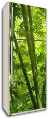 Samolepka na lednici flie 80 x 200  Bamboo forest., 80 x 200 cm