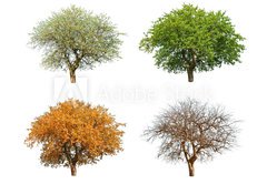 Samolepka flie 145 x 100, 25711351 - season - sezna