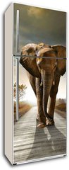 Samolepka na lednici flie 80 x 200  Walking Elephant, 80 x 200 cm