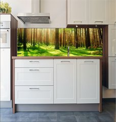 Fototapeta do kuchyn flie 180 x 60  Misty Old Forest, 180 x 60 cm