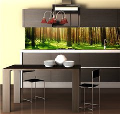 Fototapeta do kuchyn flie 260 x 60  Misty Old Forest, 260 x 60 cm
