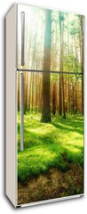 Samolepka na lednici fólie 80 x 200, 25769239 - Misty Old Forest - Mlýnský starý les