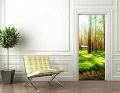 Samolepka na dvee flie 90 x 220, 25769239 - Misty Old Forest - Mlnsk star les