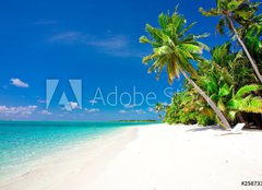 Fototapeta papr 160 x 116, 25873356 - Holiday Paradise