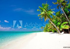 Fototapeta papr 184 x 128, 25873356 - Holiday Paradise