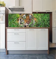 Fototapeta do kuchyn flie 180 x 60, 25950312 - Bengal Tiger - Benglsk tygr