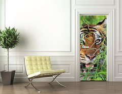 Samolepka na dvee flie 90 x 220  Bengal Tiger, 90 x 220 cm