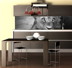 Fototapeta do kuchyn flie 260 x 60  Young lion portrait, 260 x 60 cm