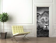 Samolepka na dvee flie 90 x 220  Young lion portrait, 90 x 220 cm