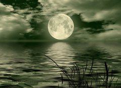 Fototapeta vliesov 100 x 73, 26112274 - Full moon image with water