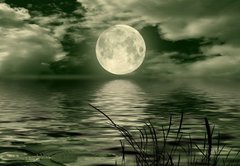 Fototapeta pltno 174 x 120, 26112274 - Full moon image with water