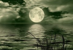 Fototapeta174 x 120  Full moon image with water, 174 x 120 cm