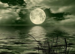 Fototapeta papr 254 x 184, 26112274 - Full moon image with water