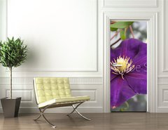 Samolepka na dvee flie 90 x 220  violet flower, 90 x 220 cm