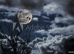 Fototapeta100 x 73  Full moon, 100 x 73 cm