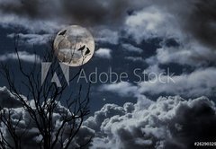 Samolepka flie 145 x 100, 26290329 - Full moon - plnk