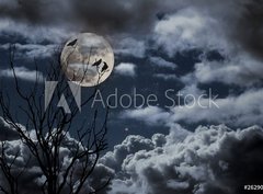 Fototapeta papr 360 x 266, 26290329 - Full moon