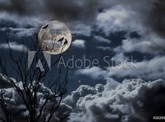 Fototapeta papr 360 x 266, 26290329 - Full moon