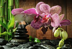 Fototapeta pltno 174 x 120, 26295385 - Spa