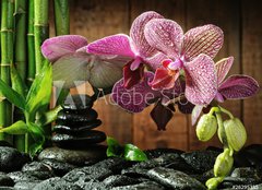 Fototapeta pltno 240 x 174, 26295385 - Spa