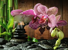 Fototapeta pltno 330 x 244, 26295385 - Spa