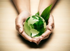 Samolepka flie 100 x 73, 26396737 - concept cologie plante terre verte