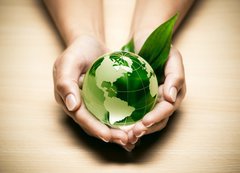 Samolepka flie 200 x 144, 26396737 - concept cologie plante terre verte - koncepce cologie plante terre verte