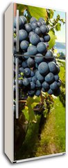 Samolepka na lednici flie 80 x 200  ripe Purple Grapes, 80 x 200 cm