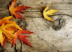 Fototapeta100 x 73  Autumn Leaves over wood background.With copy space, 100 x 73 cm