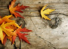 Samolepka flie 200 x 144  Autumn Leaves over wood background.With copy space, 200 x 144 cm