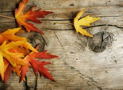 Fototapeta papr 360 x 266, 26583135 - Autumn Leaves over wood background.With copy space