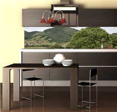 Fototapeta do kuchyně fólie 260 x 60, 26635270 - Casta os en campi a navarra - Casta osen a navarra