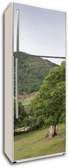 Samolepka na lednici fólie 80 x 200, 26635270 - Casta os en campi a navarra - Casta osen a navarra