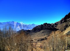 Samolepka flie 100 x 73, 2696085 - sera monastery - tibet - sera klter