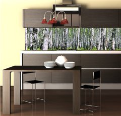 Fototapeta do kuchyn flie 260 x 60    , 260 x 60 cm
