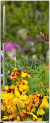 Samolepka na lednici flie 80 x 200, 270234629 - Schmetterling 578