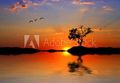 Samolepka flie 145 x 100, 27024227 - the tree