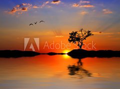 Samolepka flie 270 x 200, 27024227 - the tree