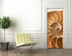 Samolepka na dvee flie 90 x 220  close up nautilus shell pattern, 90 x 220 cm