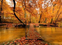 Fototapeta100 x 73  Autumn bridge, 100 x 73 cm