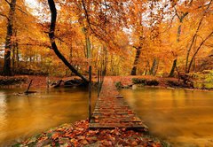 Samolepka flie 145 x 100, 27188223 - Autumn bridge