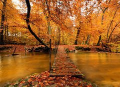 Fototapeta200 x 144  Autumn bridge, 200 x 144 cm