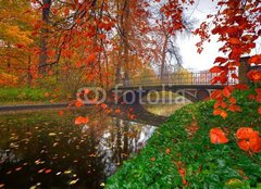 Fototapeta pltno 160 x 116, 27208964 - garden