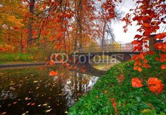 Fototapeta papr 184 x 128, 27208964 - garden