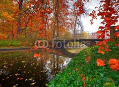 Fototapeta papr 360 x 266, 27208964 - garden