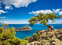 Samolepka flie 100 x 73, 27211758 - Tree and sea