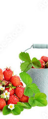 Samolepka na dvee flie 90 x 220  Panoramic collage fruit, drinks, ice cream, 90 x 220 cm