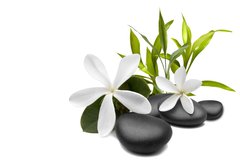 Fototapeta174 x 120  Spa still life with white flowers, 174 x 120 cm